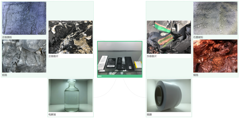 回收萝莉社轻量版APP