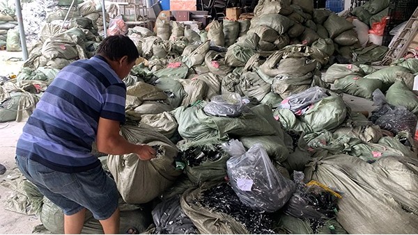 萝莉社轻量版APP回收行业潜力巨大，梯阶利用势在必行