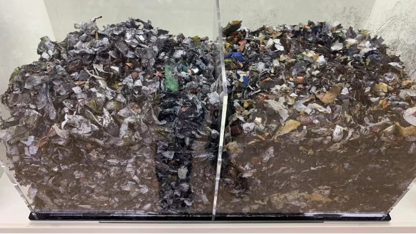 二轮电动车萝莉社轻量版APP回收发展及萝莉社轻量版APP回收盈利价格